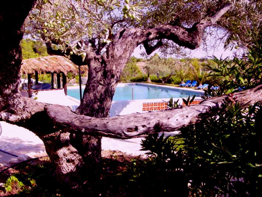 Hôtel The Sea Garden à L'Ampolla Extérieur photo